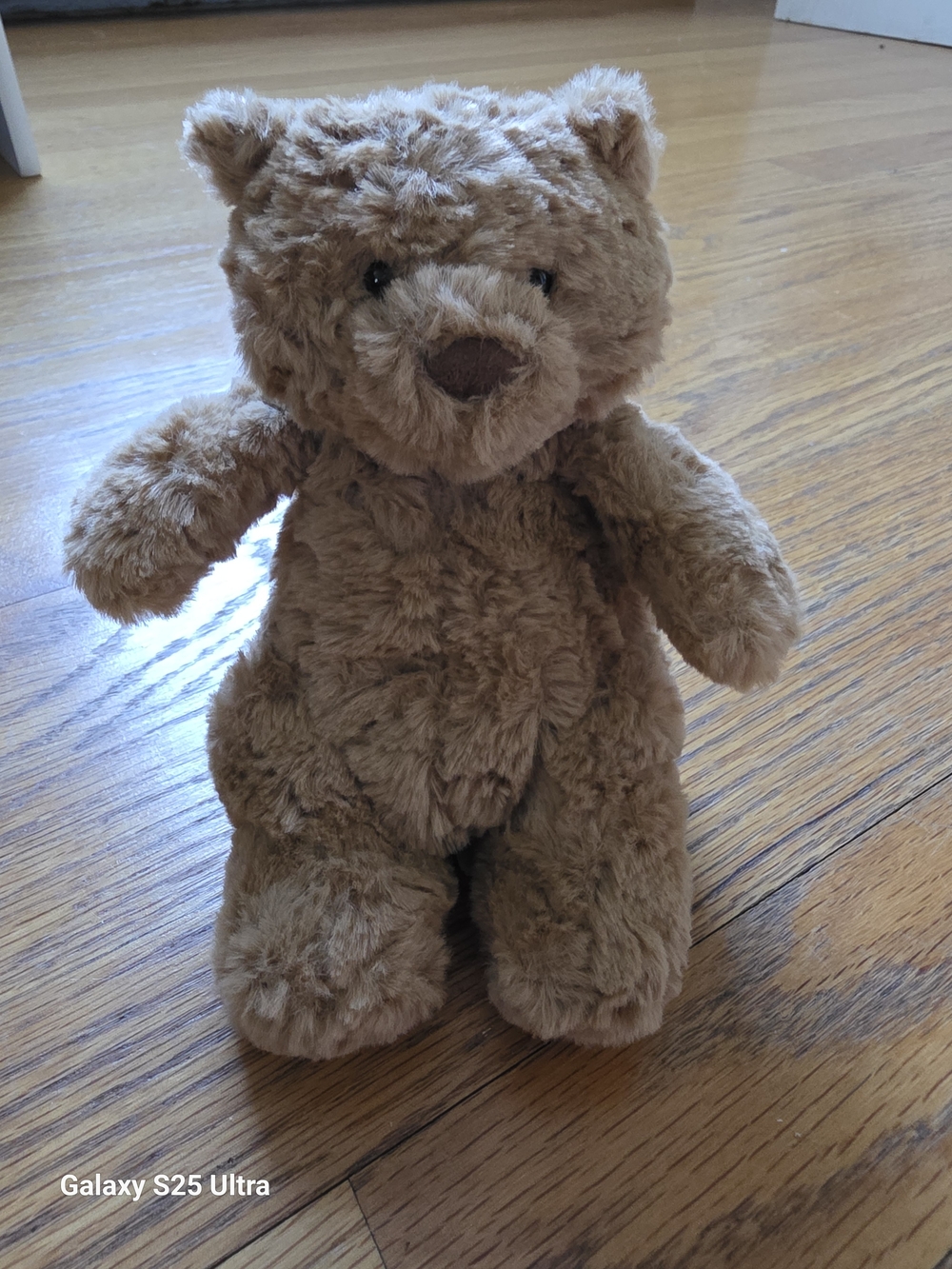 Jellycat Mini Brown Teddy Bear